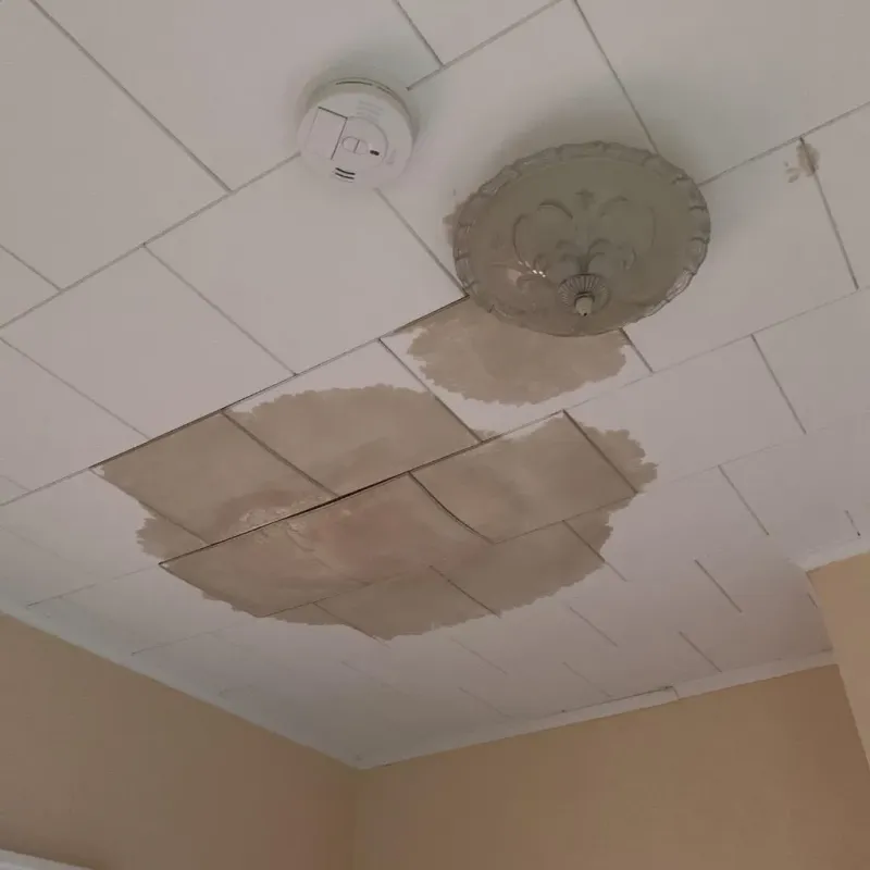 Ceiling Water Damage Repair in Coaldale, PA