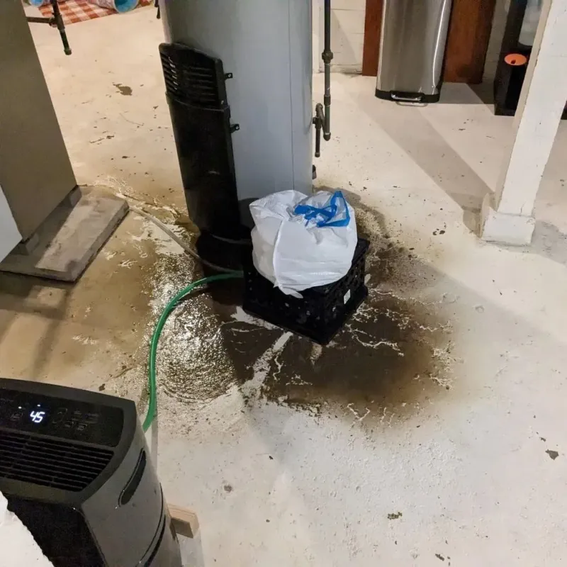 Sewage Backup Cleanup Service in Coaldale, PA